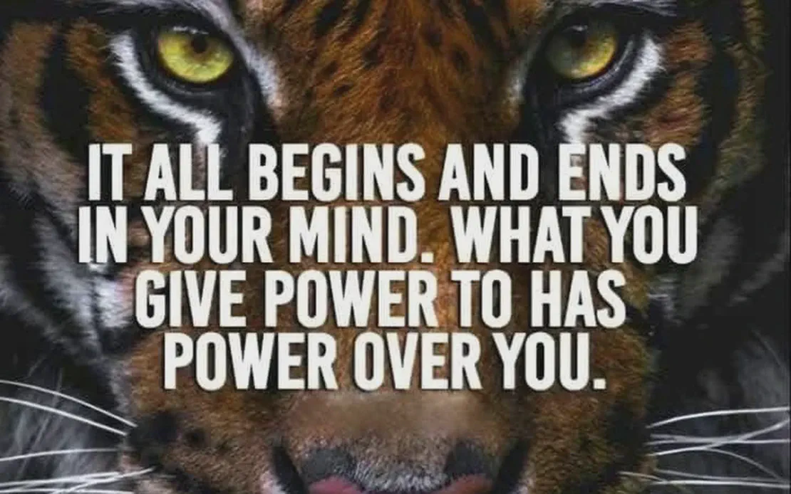 Evaluate before you Calculate!